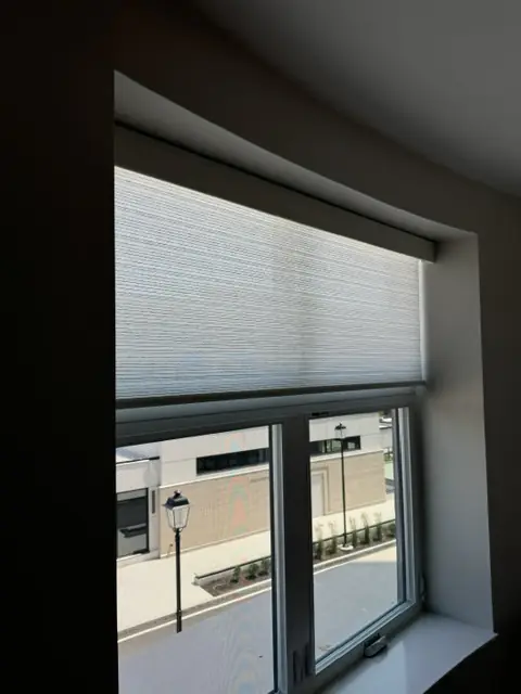 Cellular shade in a deep, dark-painted window frame